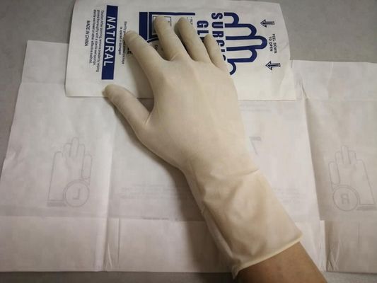 Free sample Medical device disposable hospital Surgical latex gloves / examination gloves